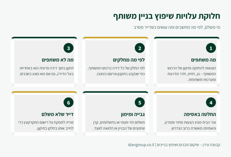 אינפוגרפיקה: חלוקת עלויות שיפוץ בניין משותף – מה משתפים, לפי מה מחלקים ומה עושים עם דייר שלא משלם